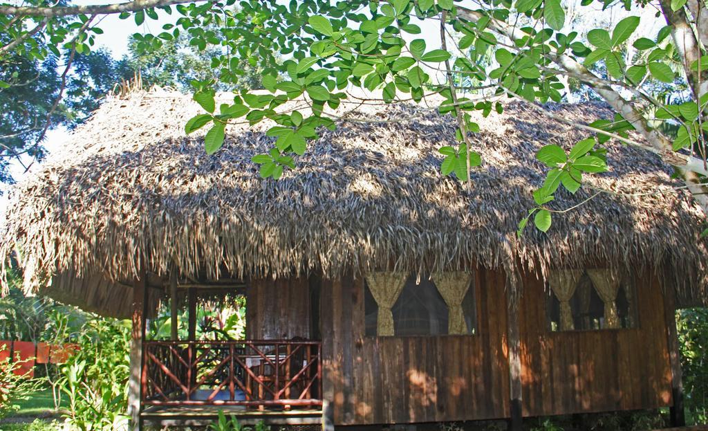 Sun Creek Lodge Пунта-Горда Номер фото